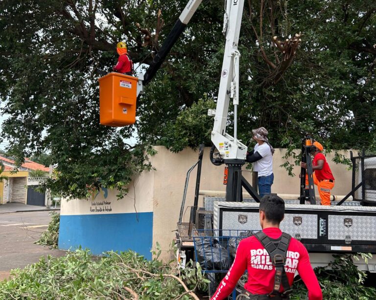 Árvores comprometidas por chuvas são removidas em colégio estadual de Ituiutaba