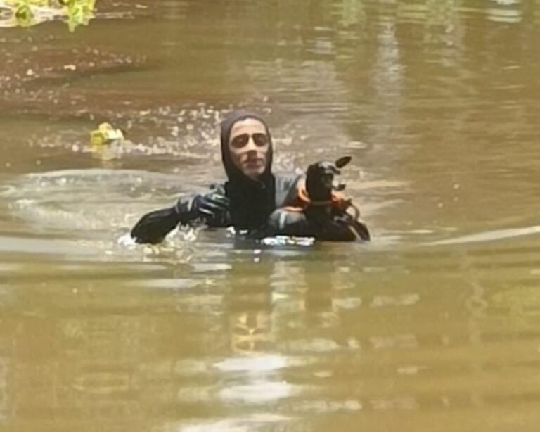 Cadela é resgatada de afogamento na lagoa do Parque do Goiabal em Ituiutaba