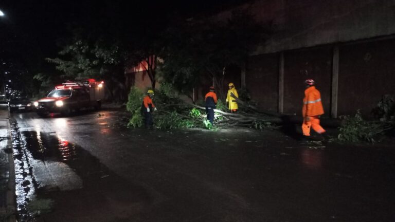 Sexta-feira chuvosa deixa vias públicas de Ituiutaba obstruídas por árvores derrubadas por temporal