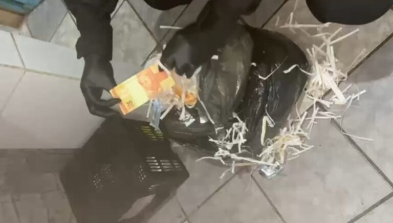 Polícia Federal desarticula esquema de venda de cédulas falsas pelos Correios em Uberlândia