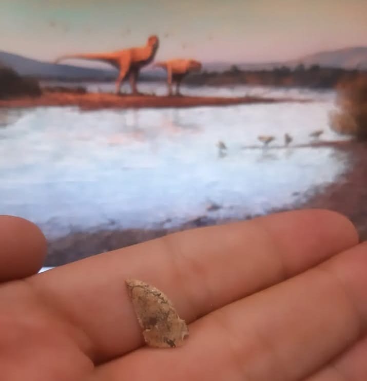 UEMG Ituiutaba realiza evento inédito sobre fósseis encontrados no município