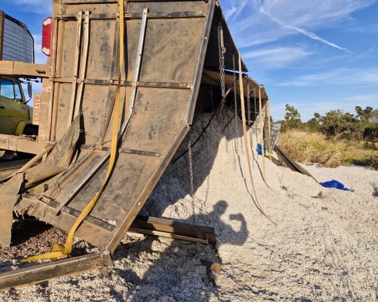 Carreta carregada com algodão tomba na BR-365 entre Uberlândia e Nova ponte, em Minas Gerais