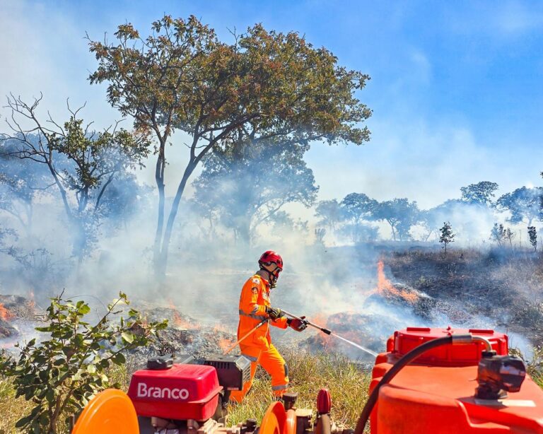 Incêndio atinge área de pastagem em Ituiutaba e mobiliza CBMMG