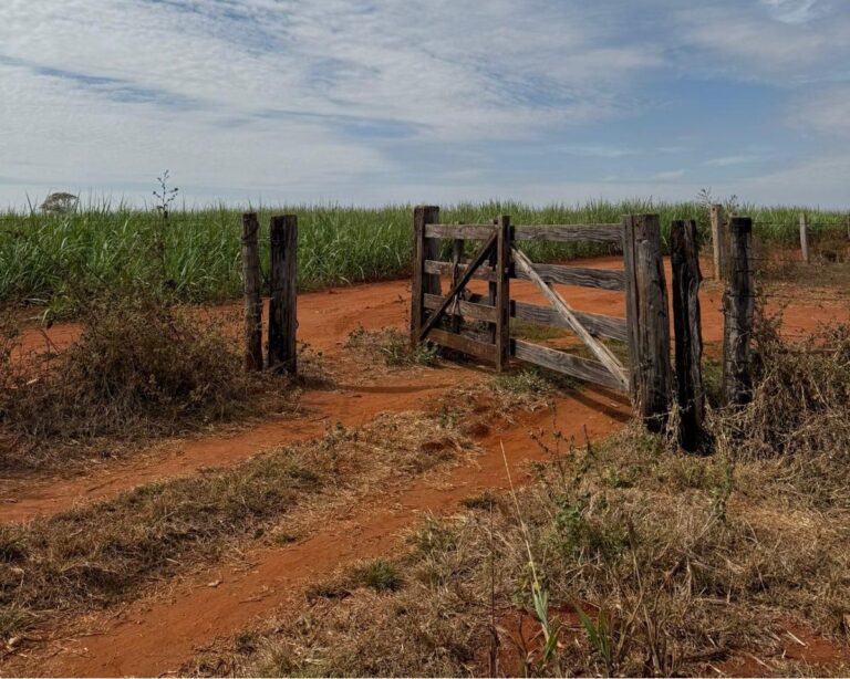 Sicoob Coopacredi promove 1º leilão online de imóvel rural em Ituiutaba (MG)