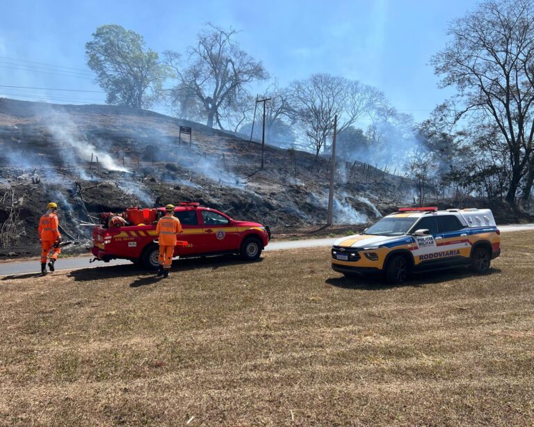 Incêndio de grande proporção em vegetação mobiliza equipes e interdita trecho da BR-365, em Ituiutaba (MG)