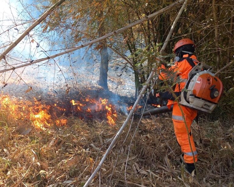 Bombeiros combatem incêndio em vegetação no Bairro Nova Ituiutaba 3, no município tijucano