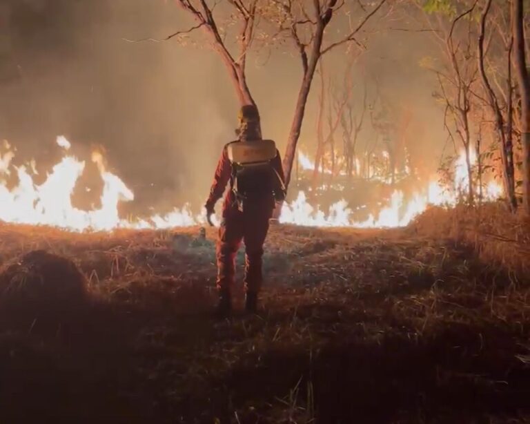 Incêndio é registrado novamente no Parque do Goiabal, em Ituiutaba