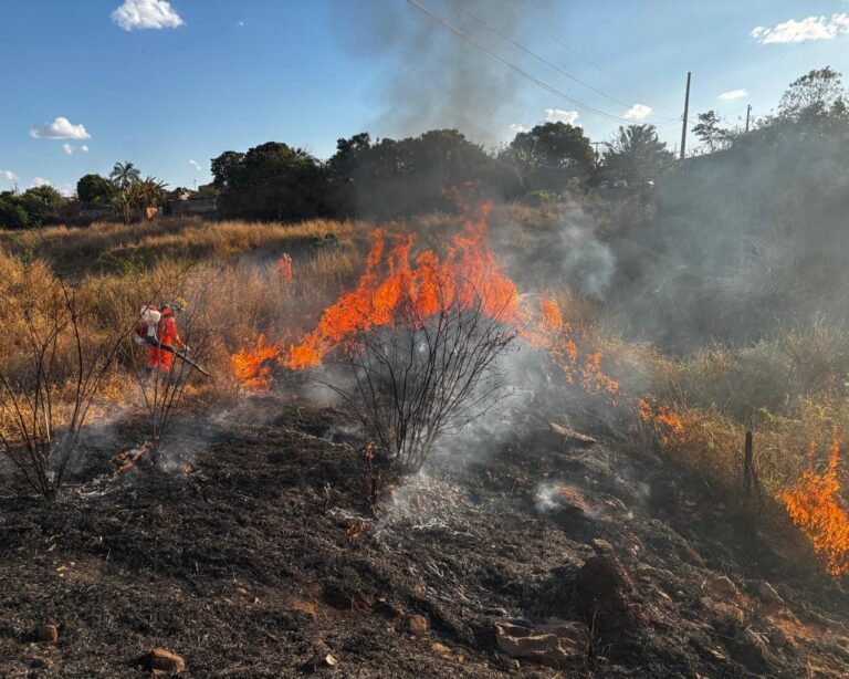 Incêndio em vegetação consome mais de 70 mil metros quadrados de vegetação em Ituiutaba