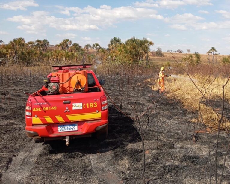 Incêndio de grandes proporções atinge 30 hectares de vegetação na MGC-154