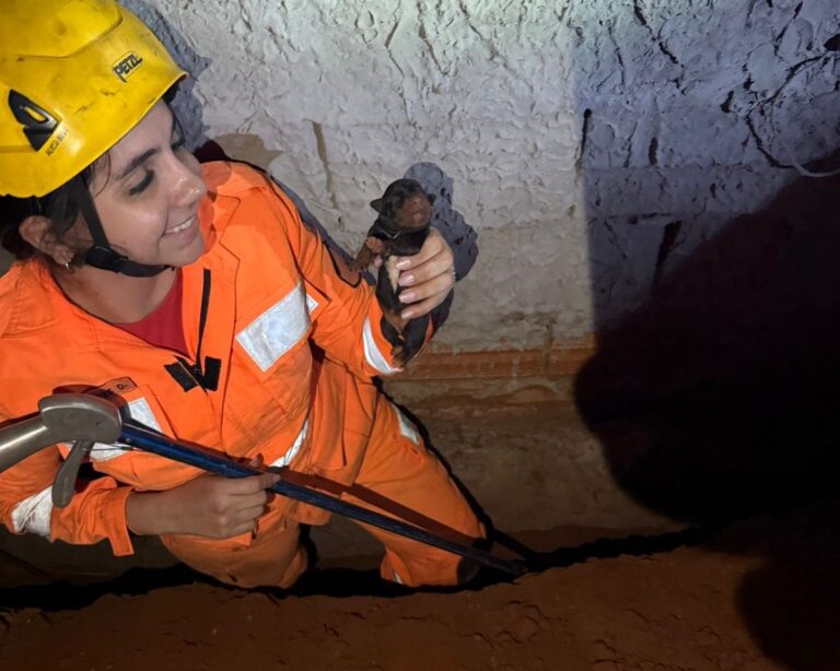 CBMMG resgata cadela e filhotes presos em buraco no bairro Santa Edwiges, em Ituiutaba