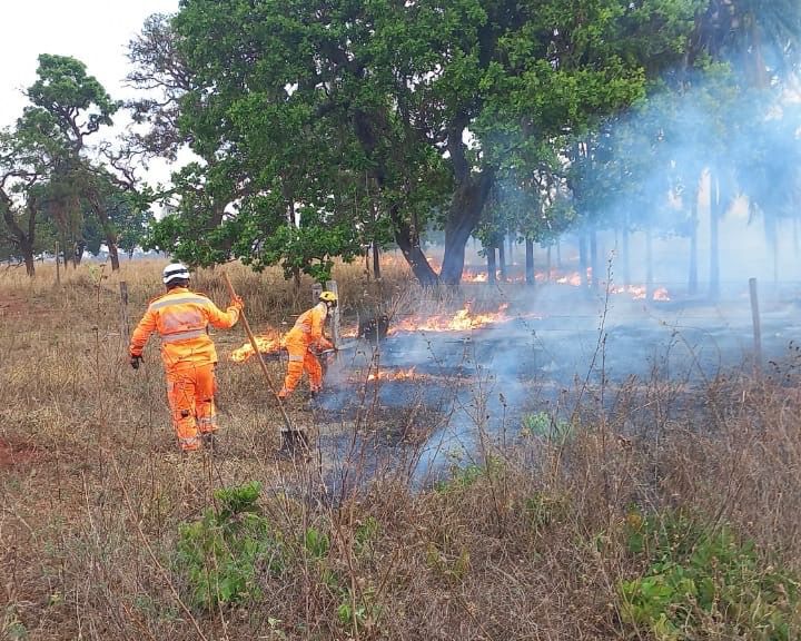 CBMMG combate incêndio de grandes proporções próximo ao distrito de Flor de Minas