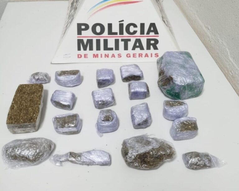 PMMG apreende aproximadamente meio quilo de maconha em residência no Bairro Maria Vilela, em Ituiutaba