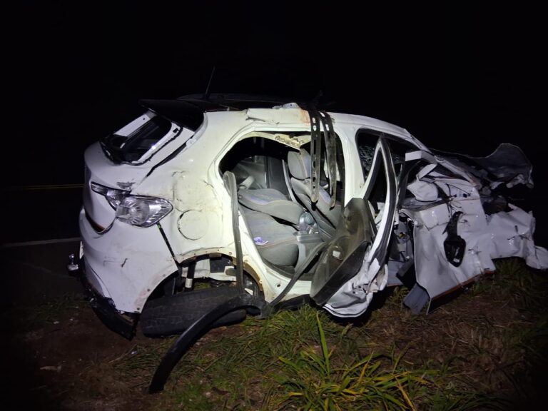 Carro bate em boi solto em rodovia próxima à ponte do Rio Tijuco no município do Prata