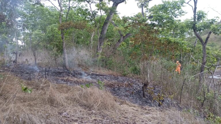 Incêndio em vegetação é controlado próximo à cachoeirinha do São Lourenço, em Ituiutaba