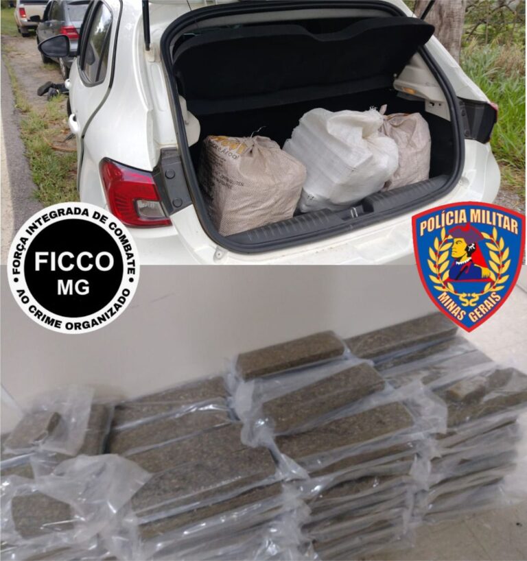 Ação integrada em Minas apreende 150 kg de maconha e resulta em prisão e apreensão de menor em Pouso Alegre