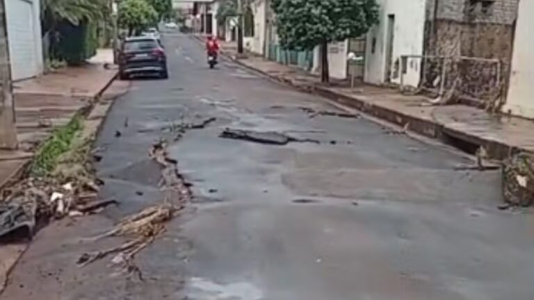 Temporal causa alagamentos, queda de árvores e danos ao asfalto em Frutal