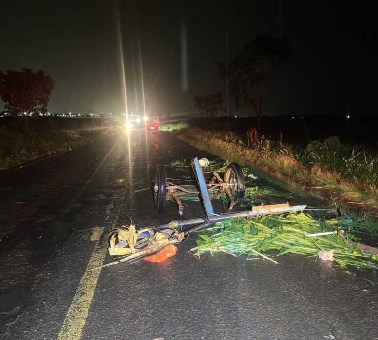 Colisão entre carroça e ônibus deixa o carroceiro ferido na MG-223, em Araguari