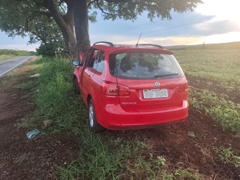 Acidente com animal na pista é registrado na MGC-154, em Cachoeira Dourada