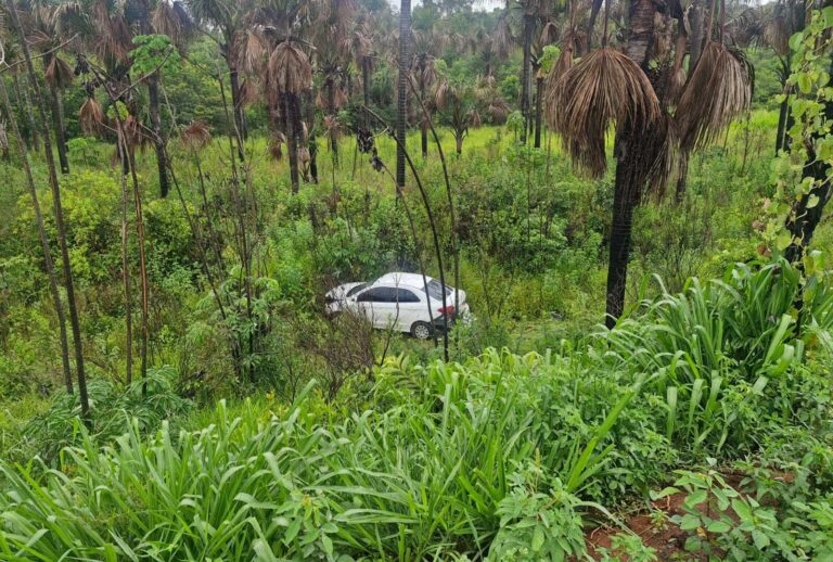 Idoso de 83 anos fica ferido após sair da pista e cair em área de vegetação na MGC-497