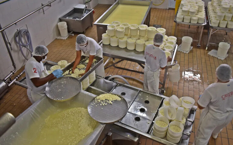 Dia Mundial do Queijo: Minas Gerais produziu 43 mil toneladas de queijo em 2025, aponta Emater-MG