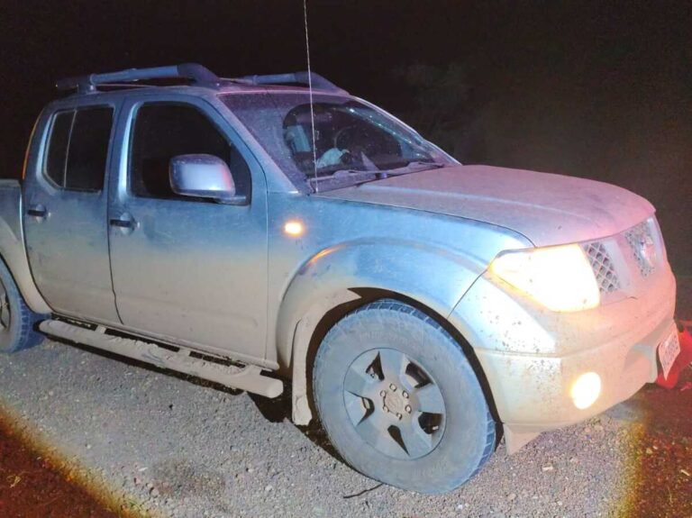 Homem de 32 anos morre após ser atropelado na MGC-452 em Uberlândia