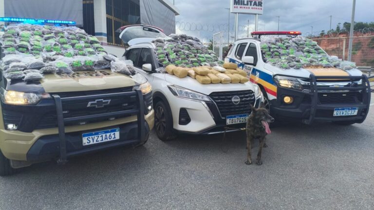 Polícia Militar rodoviária prende casal em hotel na MG-050 com 345 pacotes de ‘supermaconha’, em Minas Gerais