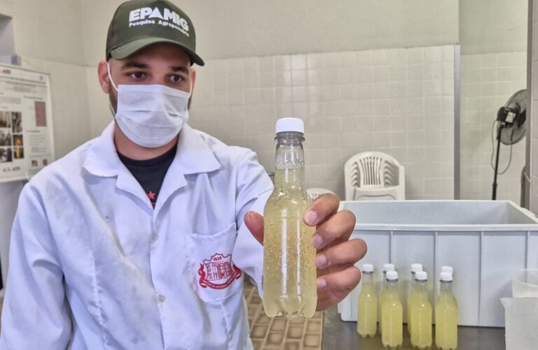 Pesquisa em Minas Gerais reaproveita soro de leite para criar “refrigerante” nutritivo