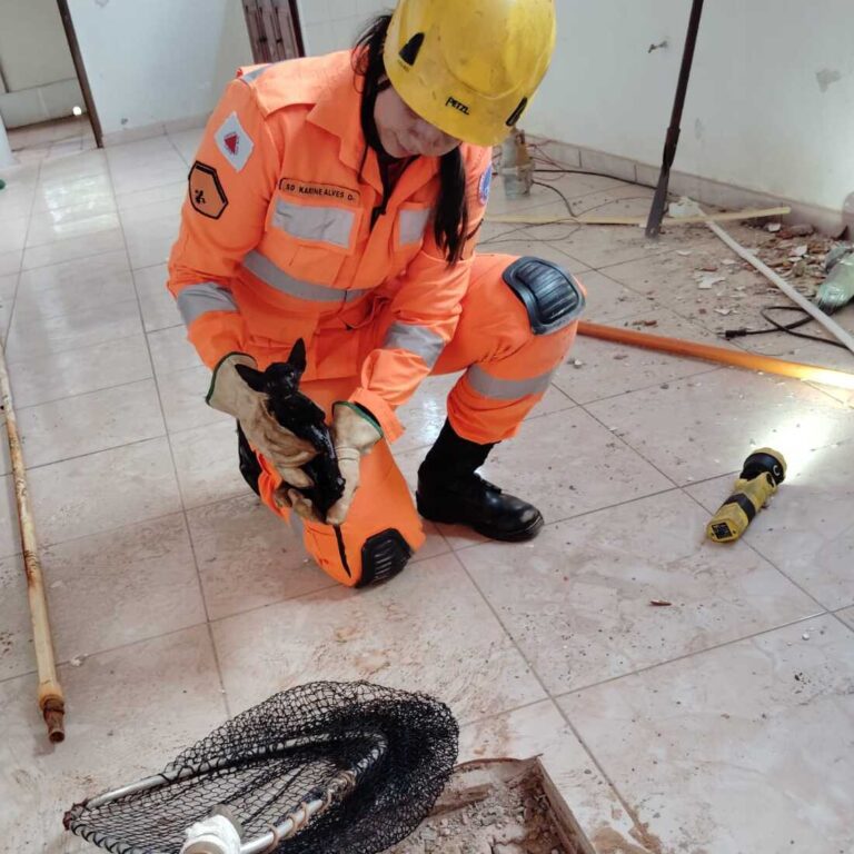 Filhote de gato é resgatado de cisterna de seis metros pelos Bombeiros em Ituiutaba