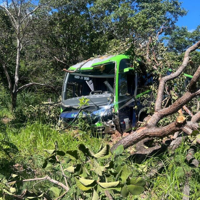 Motorista fica ferido após ônibus perder o controle e sair da pista na MG-413, em Araguari (MG)