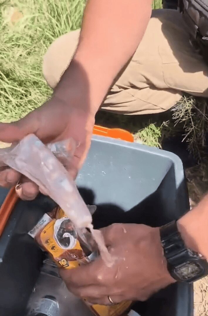 PMRv prende trio com R$ 150 mil em Mounjaro escondido em achocolatados em Minas