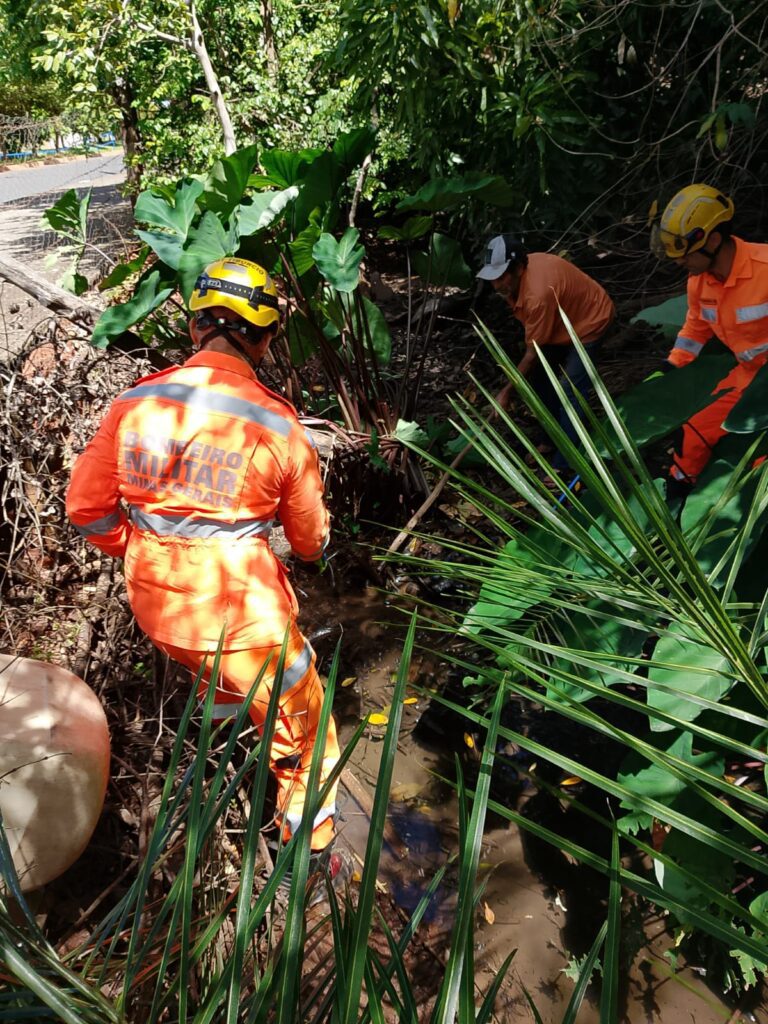Sucuri é capturada no quintal de residência em Monte Alegre de Minas