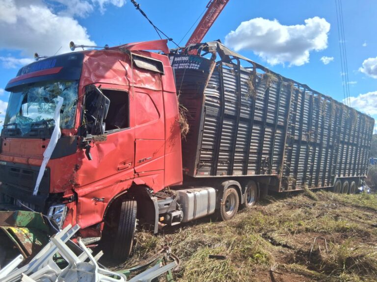 Colisão entre caminhão e carro provoca morte de seis animais e interdita a MGC-452 em Uberlândia