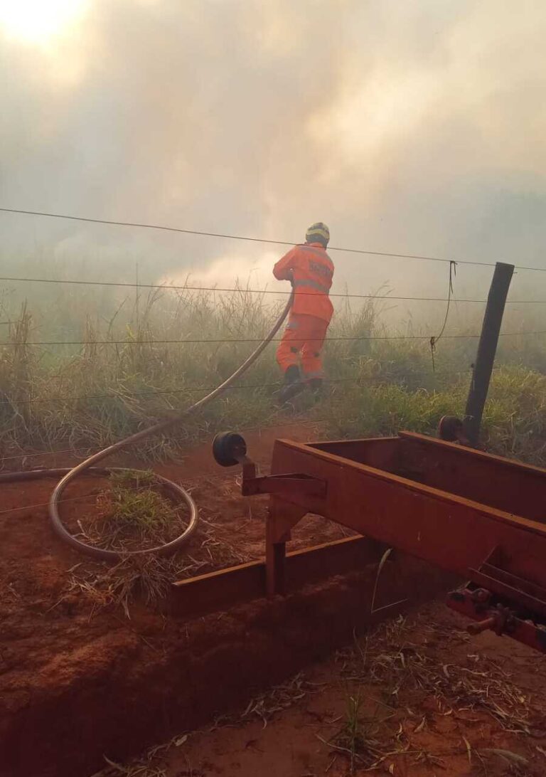 Incêndio atinge vegetação no bairro Novo Tempo II, em Ituiutaba