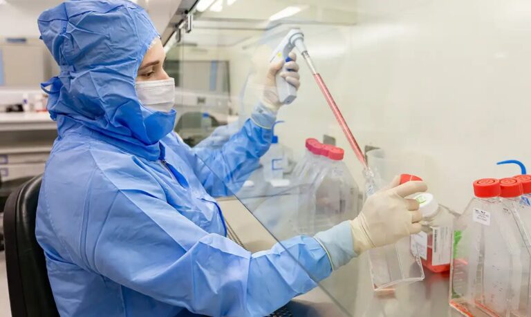 Terapia com células-tronco desenvolvida no Paraná mostra avanço contra complicações do transplante de medula