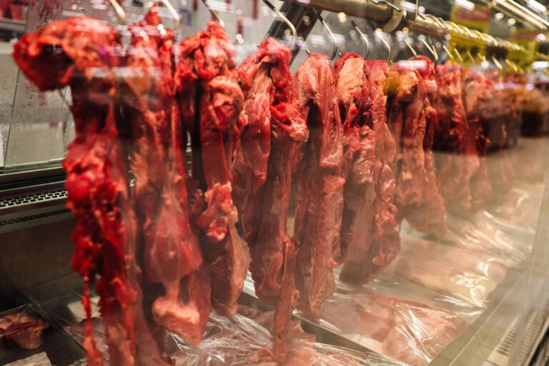 União Europeia confirma veto à importação de carnes brasileiras a partir de setembro
