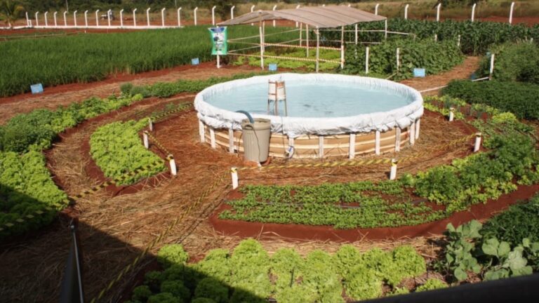Sistema Integrado de Produção de Alimentos desenvolvido na UFU conquista prêmio nacional de inovação