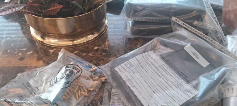PF combate esquema de armas obtidas com documentos falsos em Minas